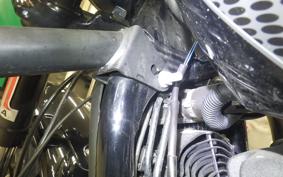 HARLEY XG750 STREET ROD 2020