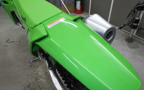 KAWASAKI KX250 2021 KX252E