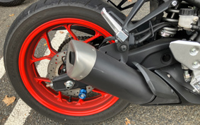 YAMAHA YZF-YZF-R3 ABS 2023 RH13J