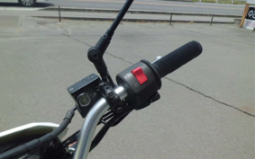 KAWASAKI KLX125 LX125C