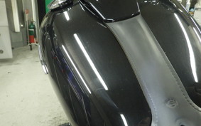 HARLEY FLSL 1750 2019