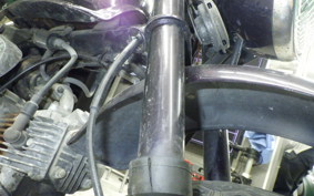HONDA MONKEY 2023 Z50J