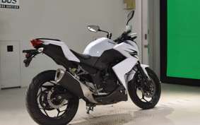 KAWASAKI Z250 2008 ER250C