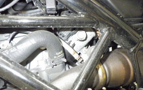 HUSQVARNA VITPILEN 401 2019