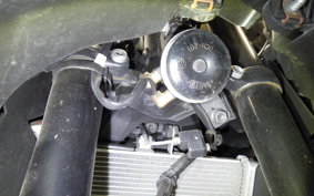 YAMAHA YZF-R25 A 2009 RG43J