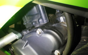 KAWASAKI NINJA 250 2 2025 EX250Y