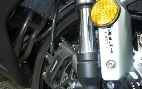 KAWASAKI Z1000 SX 2018