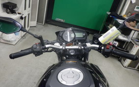 YAMAHA MT-25 RG43J