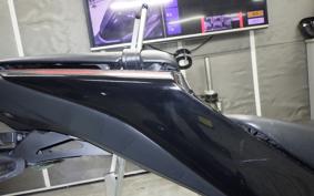 YAMAHA YZF-R25 2015 RG10J