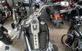 HARLEY  HARLEY FLFBS 2018 YGK