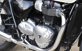 TRIUMPH BONNEVILLE T100 DAD70G