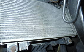 KAWASAKI NINJA 250R 2021 EX250K