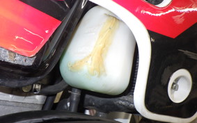 HONDA CRM250R GEN 2 MD24