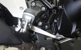 KAWASAKI NINJA H2 SX SE 2021