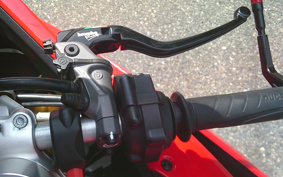 DUCATI 1299PANIGA-RES 2015 ZDMH905JAFB