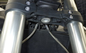 TRIUMPH STREET TRIPLE S 2021