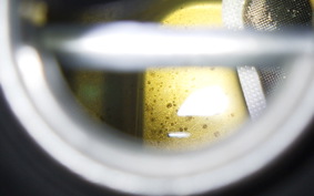 HONDA DIO Gen.6 2012 AF68