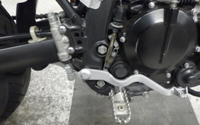 KAWASAKI KLX250D TRACKER X
