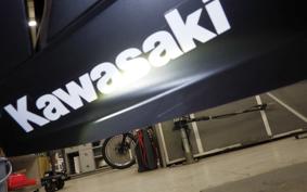 KAWASAKI NINJA 250 2001 EX250P