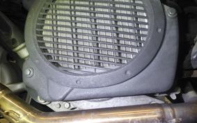HONDA LEAD 110 2025 JF19