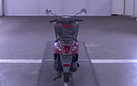 OTHER  LET`S  BASKET 