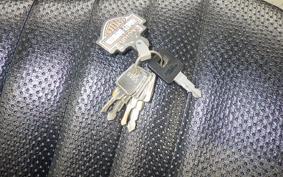 HARLEY XL883RI 2007