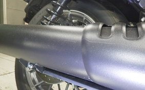 HARLEY RH975S 2025