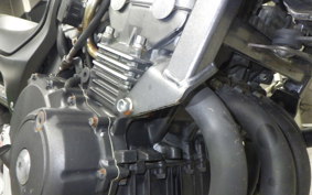HONDA HORNET 250 2024 MC31