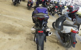 YAMAHA YZF-R25 RG43J