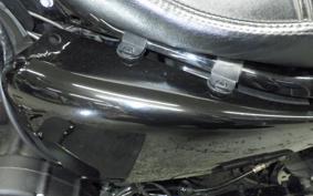 HARLEY XL1200X 2020