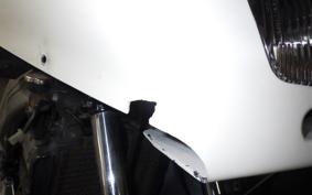 KAWASAKI ZZ-R250 EX250H