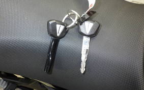 KAWASAKI Z250 Gen.2 EX250P