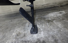 HARLEY RH975S 2024