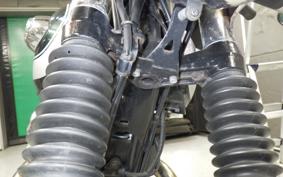 KAWASAKI W800 2020 EJ800B
