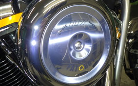 HARLEY FLSTFI1920 2025