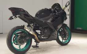 KAWASAKI NINJA 250 EX250P