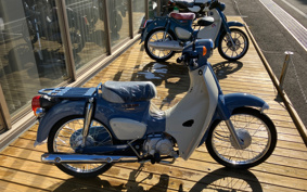 HONDA SUPER CUB50 AA09