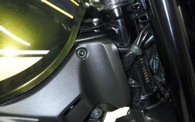 KAWASAKI Z900RS 2020 ZR900C
