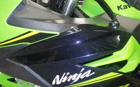 KAWASAKI NINJA 250 2021 EX250P