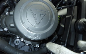 TRIUMPH TRIDENT 660 2021