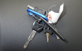 HONDA VTR 250 Gen. 2 2004 MC33