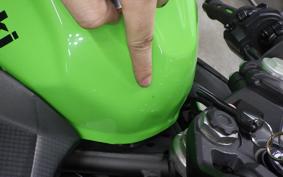 KAWASAKI NINJA 250 2 2024 EX250P