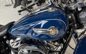 HARLEY  HARLEY FLFBS 2023 YGK