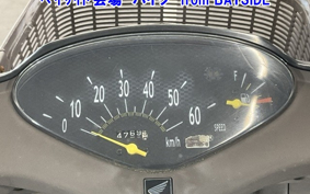 HONDA DIO CHESTER