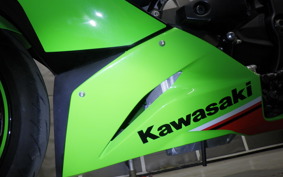 KAWASAKI NINJA ZX-6R A 2023 ZX636G