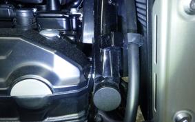 KAWASAKI Z900RS 2021 ZR900C