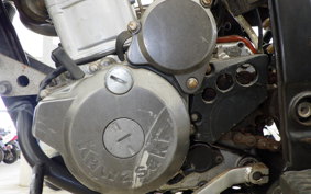 KAWASAKI KLX250D TRACKER 2022 LX250E