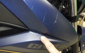 SUZUKI ｼﾞｸｻｰ250 2023 ED22Y