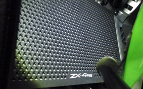 KAWASAKI ZX-4RR 2023 ZX400P