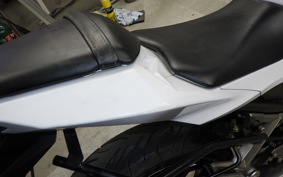 KAWASAKI NINJA 250 EX250L